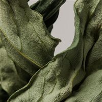 Montatura vista Look Uomo 4614 - 4614